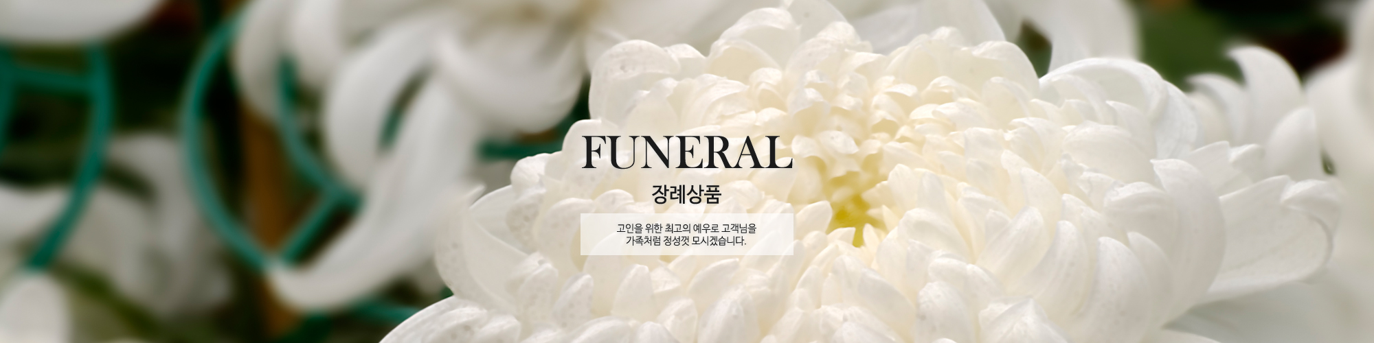 배너이미지