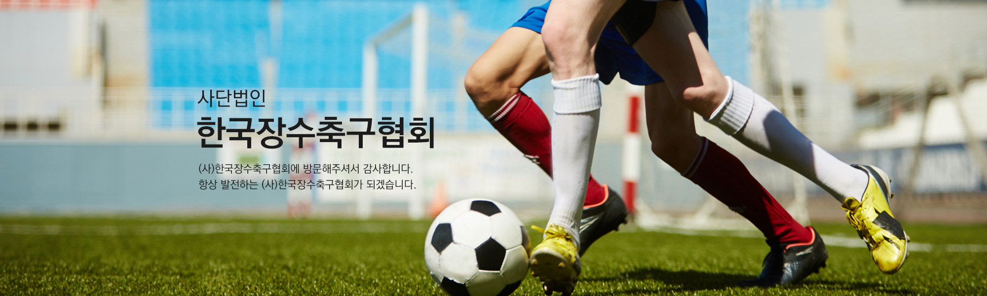 배너이미지