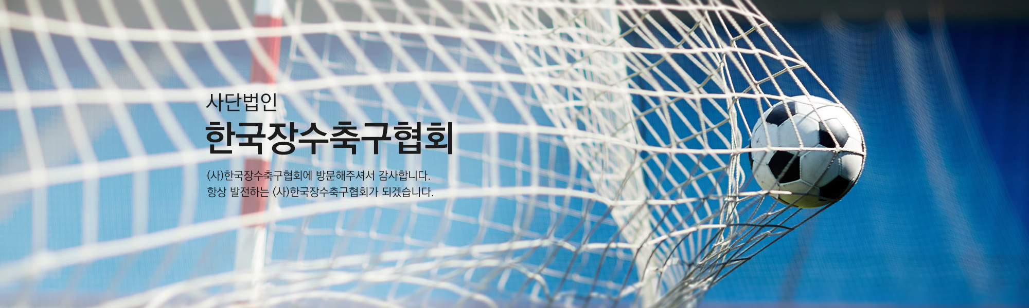 배너이미지